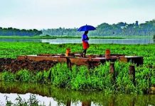 రుతుపవనాలు మహారాష్ట్ర తలుపు తట్టాయి, కానీ పొడి-గాలి లాగడం వల్ల లోతట్టు ప్రాంతాలకు ముప్పు ఏర్పడుతుంది