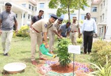 పచ్చదనం కోసం మన అడుగు.. భవిష్యత్ తరాల కోసం మన బాధ్యత!