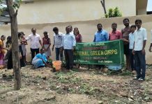 వావిలాల పాఠశాలలో వనమహోత్సవం…