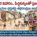 ధర్పల్లిలో పిచ్చికుక్కల బీభత్సం.. చిన్నారులు, వృద్ధులకు కాట్లు…