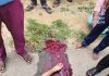 మూడు బైకులు ఒకదాని ఒకటి ఢీ కొని ఒకరు మృతి…