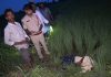 విద్యుత్ షాక్తో వ్యవసాయ కూలీ మృతి…