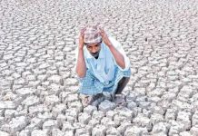18 జిల్లాలు.. 331 మండలాల్లో తీవ్ర కరువు!